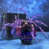 One Piece Asura Zoro Triple-Headed Six-Armed Nine-Sword Style Battle Figure